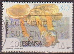 España 1995 3342 Sello º Micologia Cortinario Canelo (Dermocybe Cinnamomea) Mushrooms Timbre Espagne Spain Spagna